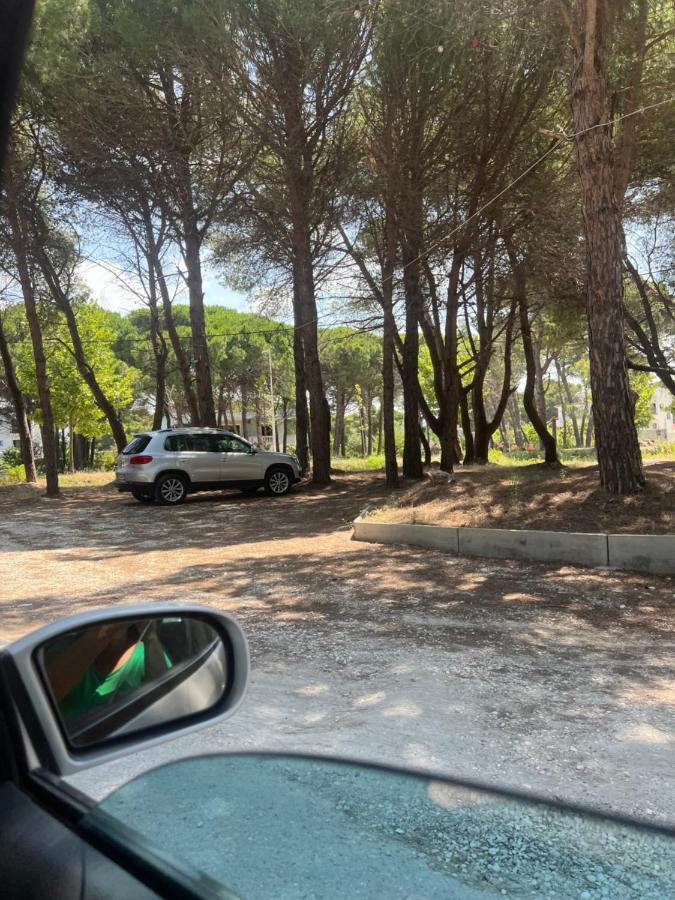 Vlorë Villa Roel 2 Apartments Nr 88 מראה חיצוני תמונה